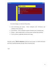 Kompiuterizuotos informacinės sistemos projektas: UAB "Video nuoma" 19 puslapis