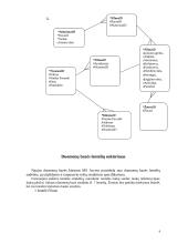 Kompiuterizuotos informacinės sistemos projektas: UAB "Video nuoma" 9 puslapis