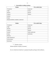 Druskininkų gydyklos įvertinimas 11 puslapis