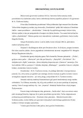 Druskininkų gydyklos įvertinimas 3 puslapis