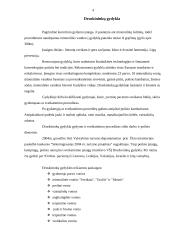 Druskininkų gydyklos įvertinimas 4 puslapis