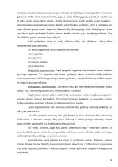 Konkurencinio pranašumo įgijimo galimybės, įvertinant restoranų rinkos patrauklumą: restoranas "Forto dvaras" 17 puslapis