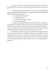 Konkurencinio pranašumo įgijimo galimybės, įvertinant restoranų rinkos patrauklumą: restoranas "Forto dvaras" 19 puslapis