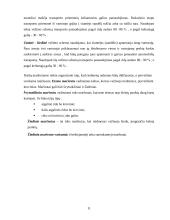 Krovinio gabenimas 11 puslapis