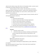 Ergonomika: darbo vietos projektavimas 3 puslapis