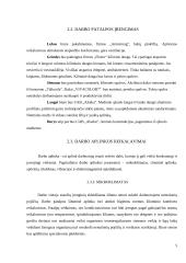 Ergonomika: darbo vietos projektavimas 4 puslapis