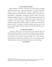 Fantastinės ir mokslinės hipotezės apie gyvybės  Žemėje kilmę 4 puslapis