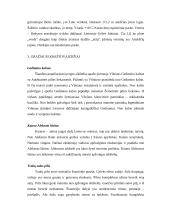 Kultūriniai ir gamtiniai paminklai Lietuvoje 9 puslapis