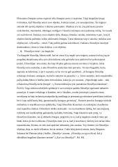 Filosofija - tai nesibaigiantis ieškojimo bei mąstymo kelias 5 puslapis