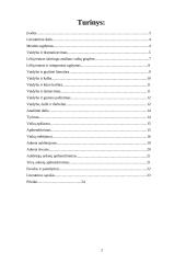 Lėlių teatro vieta integruoto ugdymo sistemoje 2 puslapis