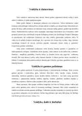 Lėlių teatro vieta integruoto ugdymo sistemoje 12 puslapis