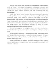 Lėlių teatro vieta integruoto ugdymo sistemoje 13 puslapis