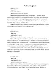 Lėlių teatro vieta integruoto ugdymo sistemoje 16 puslapis