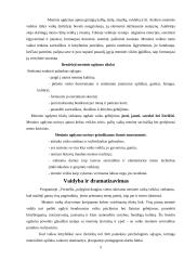 Lėlių teatro vieta integruoto ugdymo sistemoje 5 puslapis