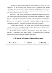 Lėlių teatro vieta integruoto ugdymo sistemoje 7 puslapis