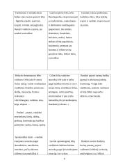 Lėlių teatro vieta integruoto ugdymo sistemoje 8 puslapis