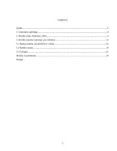 Lietuvos kredito sistema 2 puslapis