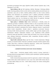 Lietuvos kredito sistema 12 puslapis