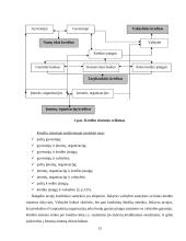 Lietuvos kredito sistema 13 puslapis
