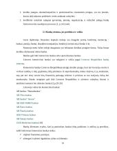 Lietuvos kredito sistema 14 puslapis