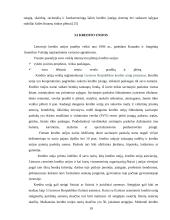 Lietuvos kredito sistema 19 puslapis