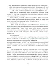 Lietuvos kredito sistema 20 puslapis