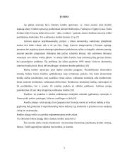 Lietuvos kredito sistema 3 puslapis