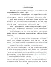 Lietuvos kredito sistema 4 puslapis