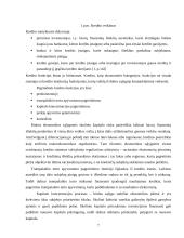 Lietuvos kredito sistema 7 puslapis