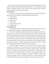 Lietuvos kredito sistema 9 puslapis