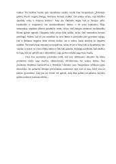 Fotografija- kas tai? 5 puslapis