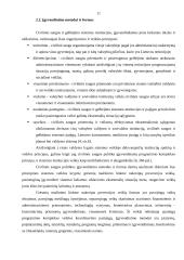 Lietuvos Respublikos (LR) valstybinės civilinės saugos politikos analizė 11 puslapis