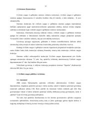 Lietuvos Respublikos (LR) valstybinės civilinės saugos politikos analizė 13 puslapis
