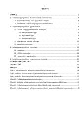 Lietuvos Respublikos (LR) valstybinės civilinės saugos politikos analizė 3 puslapis