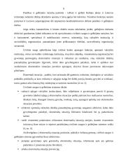 Lietuvos Respublikos (LR) valstybinės civilinės saugos politikos analizė 6 puslapis