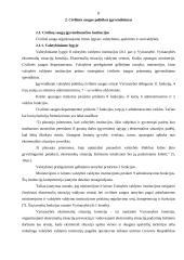 Lietuvos Respublikos (LR) valstybinės civilinės saugos politikos analizė 8 puslapis