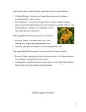 Gaubtasėkliai augaliai 5 puslapis