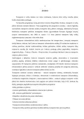 Lietuvos vidaus transporto sistema bei jos integravimasis į tarptautinius transporto tinklus 4 puslapis