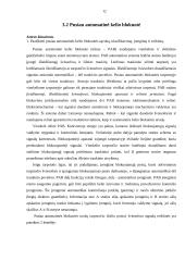 Geležinkelio eismo sauga 12 puslapis