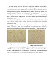 Geležinkelio eismo sauga 17 puslapis