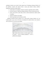 Geležinkelio eismo sauga 5 puslapis