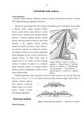 Geležinkelio eismo sauga 6 puslapis