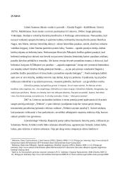 Liūnė Sutema: ugnies ir vandens metaforos kūryboje 2 puslapis