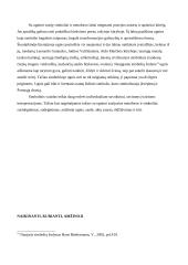 Liūnė Sutema: ugnies ir vandens metaforos kūryboje 13 puslapis