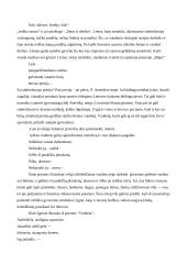 Liūnė Sutema: ugnies ir vandens metaforos kūryboje 8 puslapis