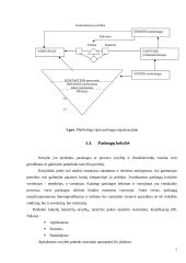 Marketingo komplekso analizė: UAB "Tele2" 7 puslapis