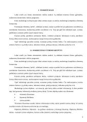 Marketingo strategija: prekyba žuvies produktais UAB "Žuvis" 4 puslapis