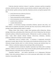 Marketingo strategija: prekyba žuvies produktais UAB "Žuvis" 9 puslapis