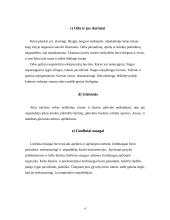 Karvės klinikinis tyrimas ir tyrimo rezultatai 4 puslapis