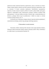 Marketingo strategijos plėtojant tarptautinę prekybą autodetalėmis 16 puslapis